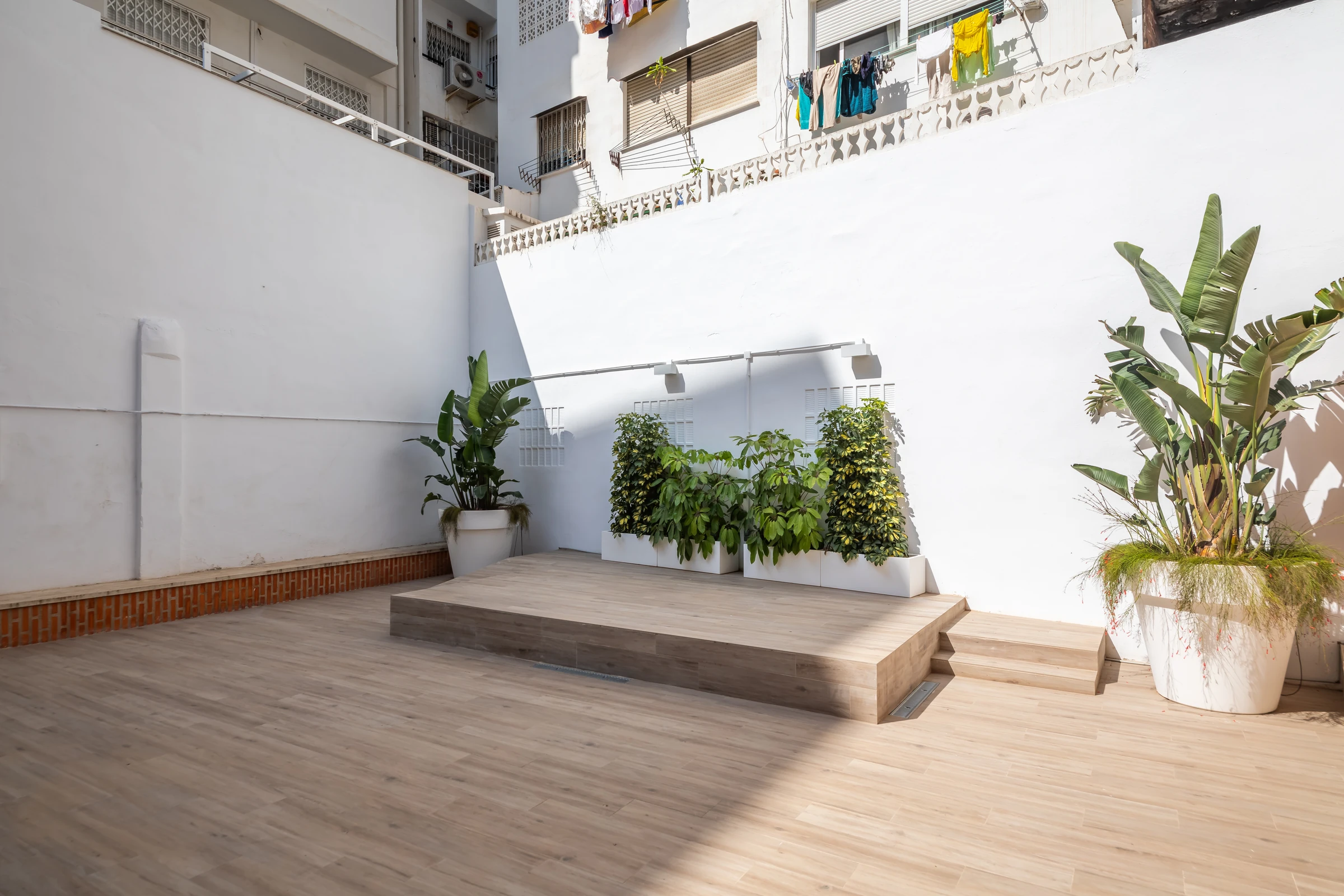 Rincón del patio con vegetación