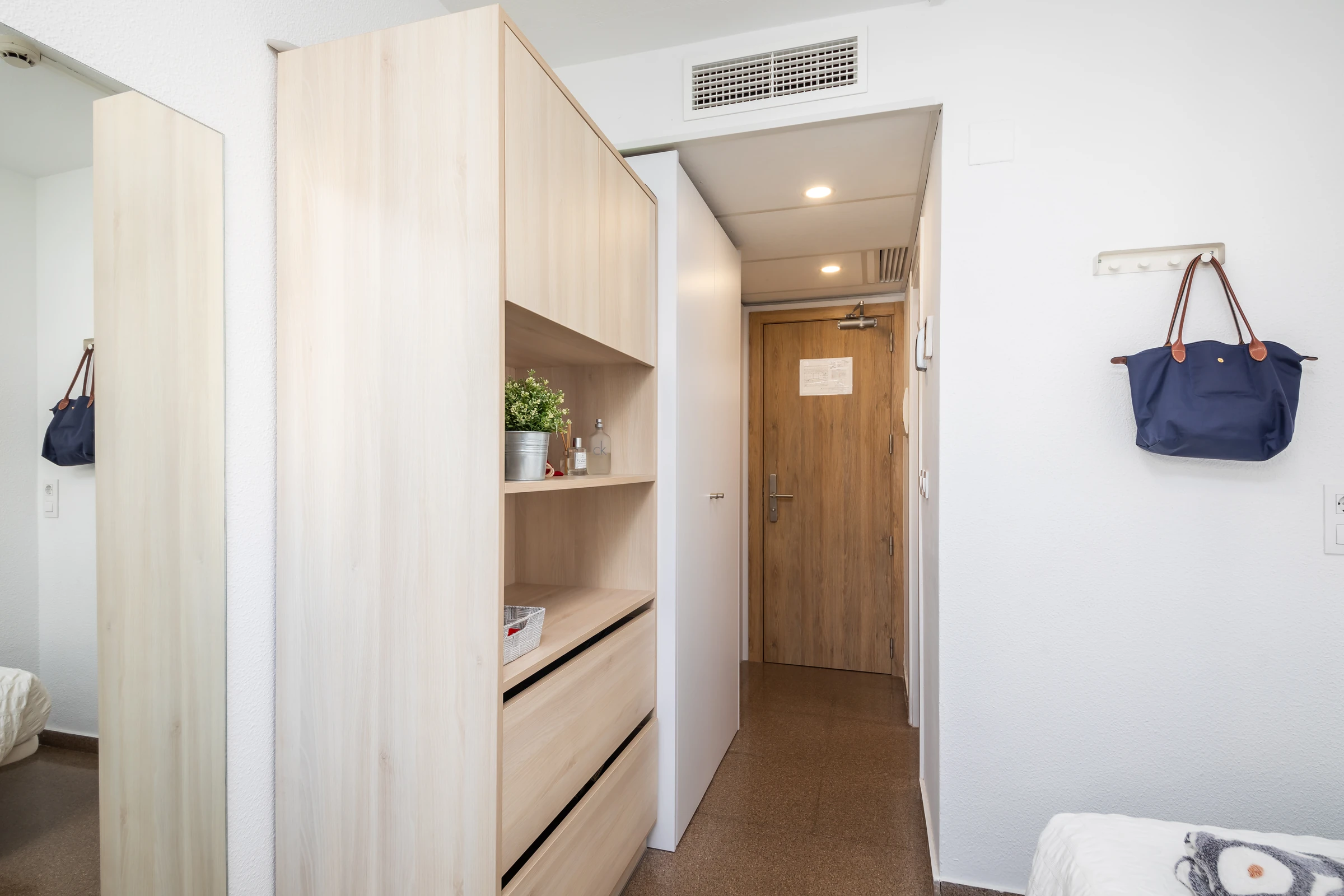 Armario y entrada de una habitación