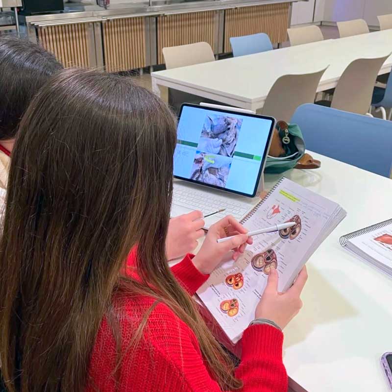 Universitarias trabajando