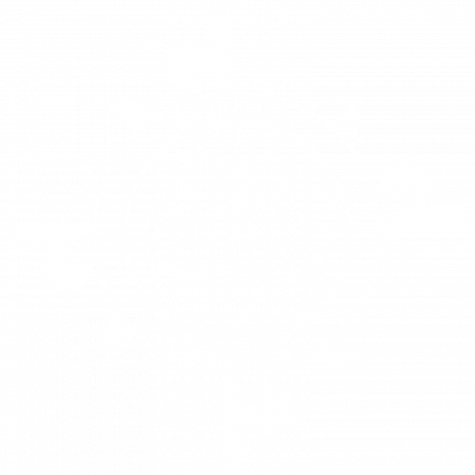 Logo de la residencia unuversitaria Anunciata de Valencia